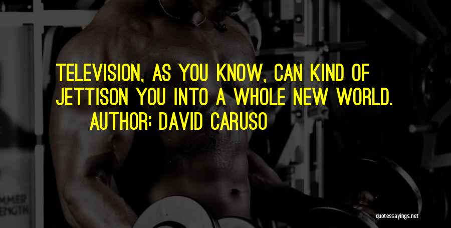 David Caruso Quotes: Television, As You Know, Can Kind Of Jettison You Into A Whole New World.