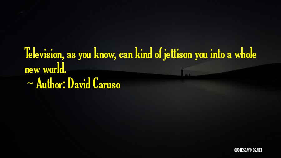 David Caruso Quotes: Television, As You Know, Can Kind Of Jettison You Into A Whole New World.