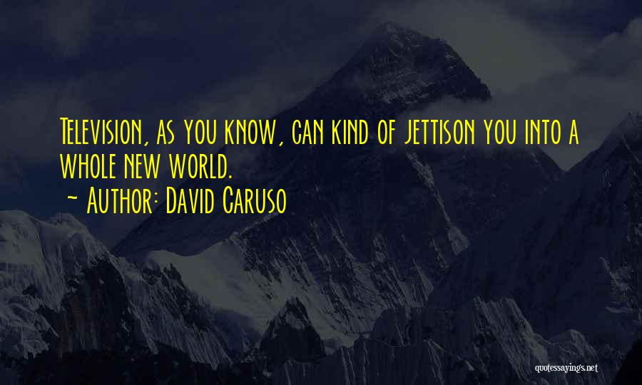 David Caruso Quotes: Television, As You Know, Can Kind Of Jettison You Into A Whole New World.