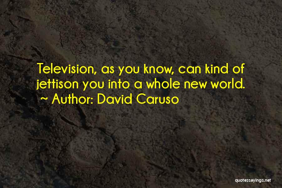 David Caruso Quotes: Television, As You Know, Can Kind Of Jettison You Into A Whole New World.