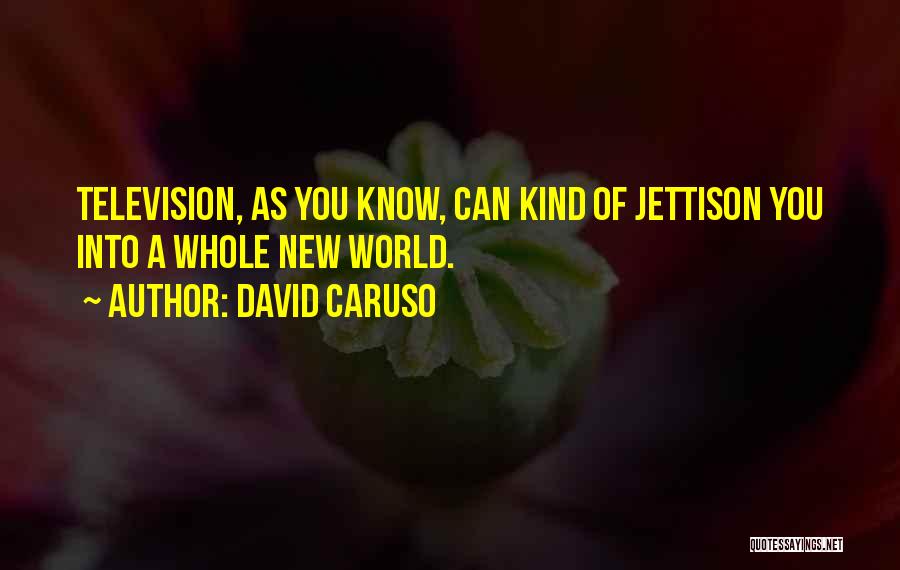 David Caruso Quotes: Television, As You Know, Can Kind Of Jettison You Into A Whole New World.