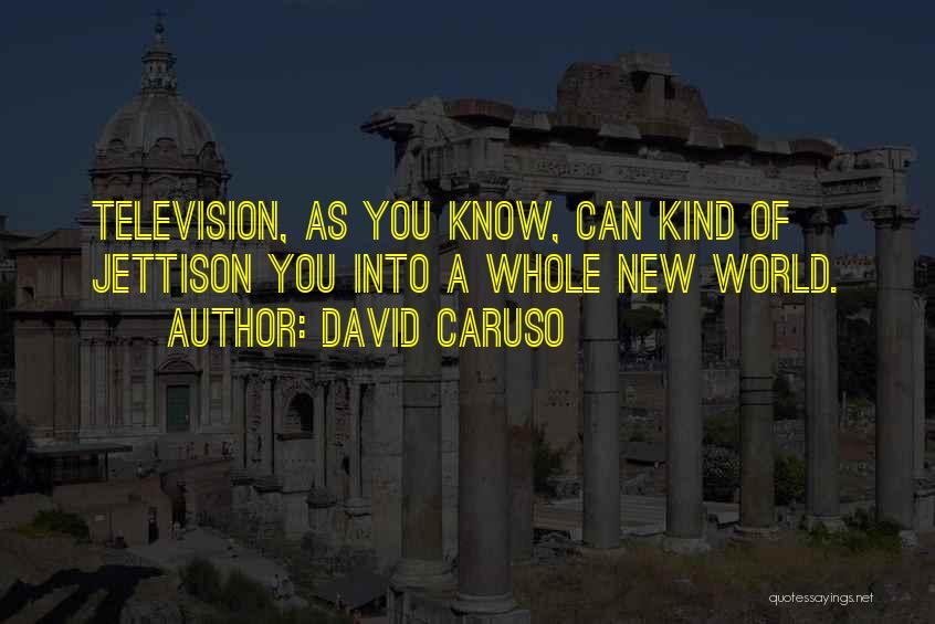 David Caruso Quotes: Television, As You Know, Can Kind Of Jettison You Into A Whole New World.
