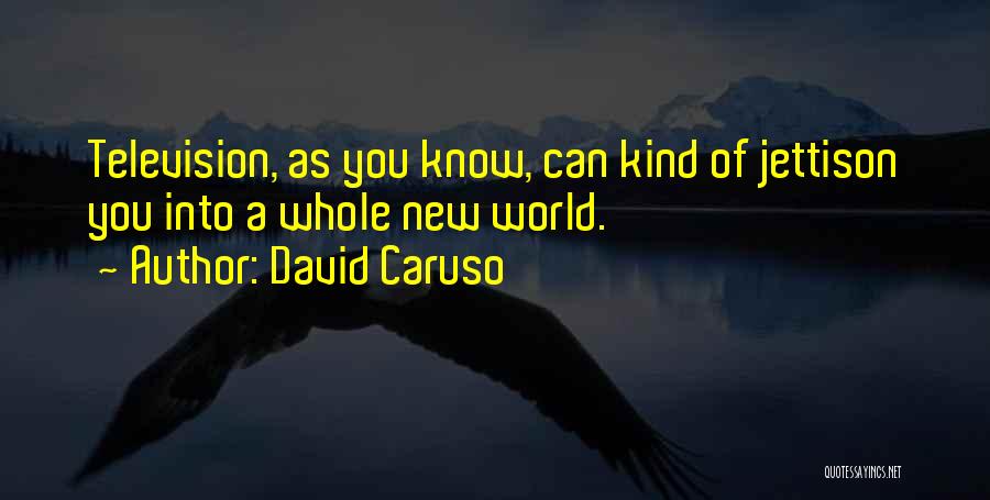 David Caruso Quotes: Television, As You Know, Can Kind Of Jettison You Into A Whole New World.