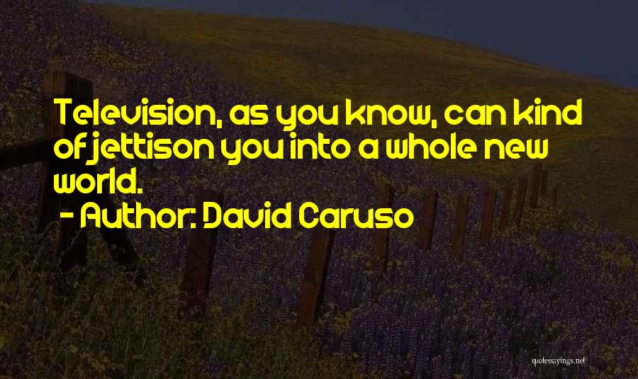 David Caruso Quotes: Television, As You Know, Can Kind Of Jettison You Into A Whole New World.