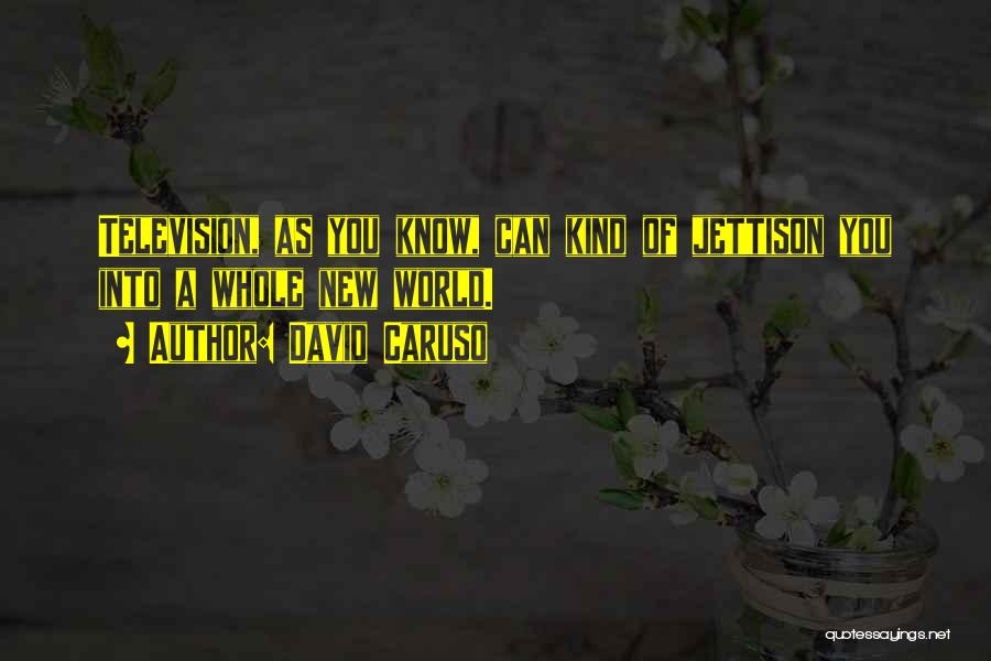 David Caruso Quotes: Television, As You Know, Can Kind Of Jettison You Into A Whole New World.