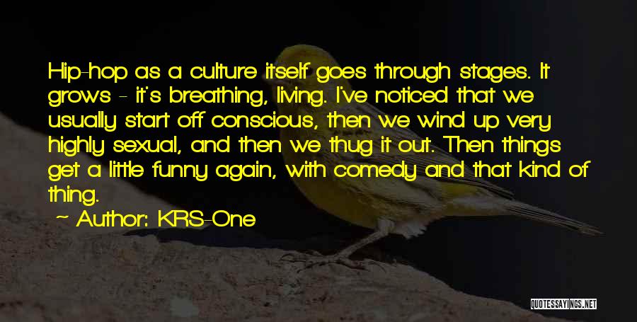 KRS-One Quotes: Hip-hop As A Culture Itself Goes Through Stages. It Grows - It's Breathing, Living. I've Noticed That We Usually Start