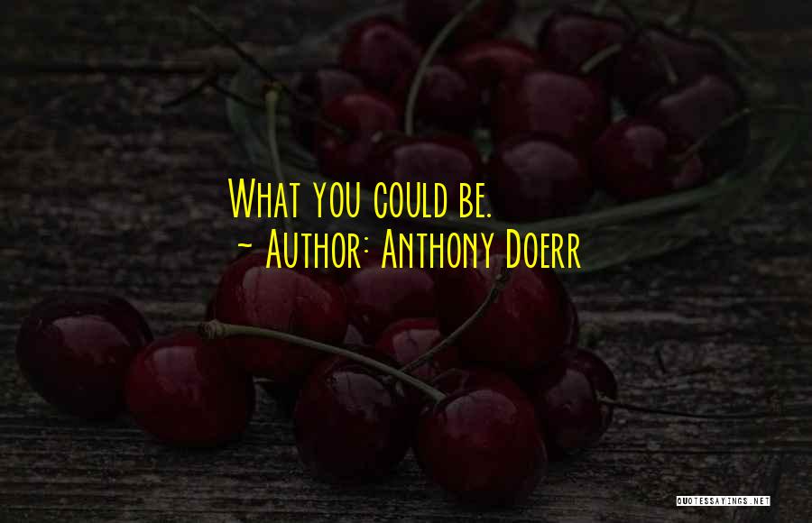 Anthony Doerr Quotes: What You Could Be.
