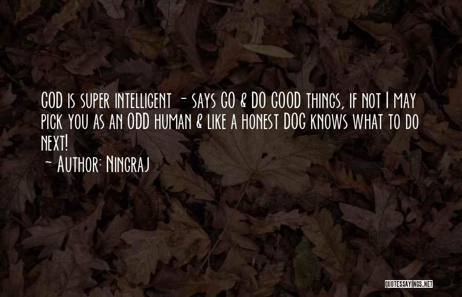 Ningraj Quotes: God Is Super Intelligent - Says Go & Do Good Things, If Not I May Pick You As An Odd