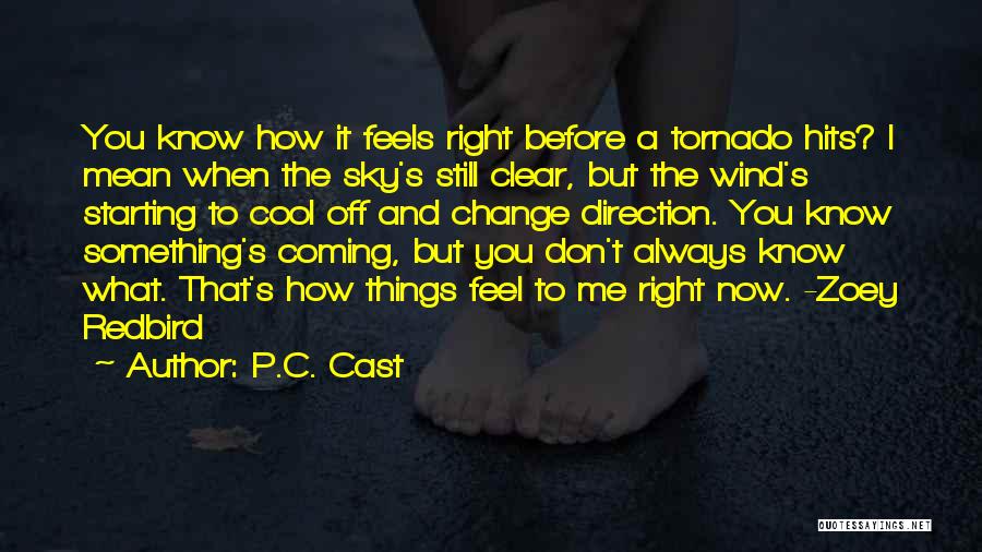 P.C. Cast Quotes: You Know How It Feels Right Before A Tornado Hits? I Mean When The Sky's Still Clear, But The Wind's