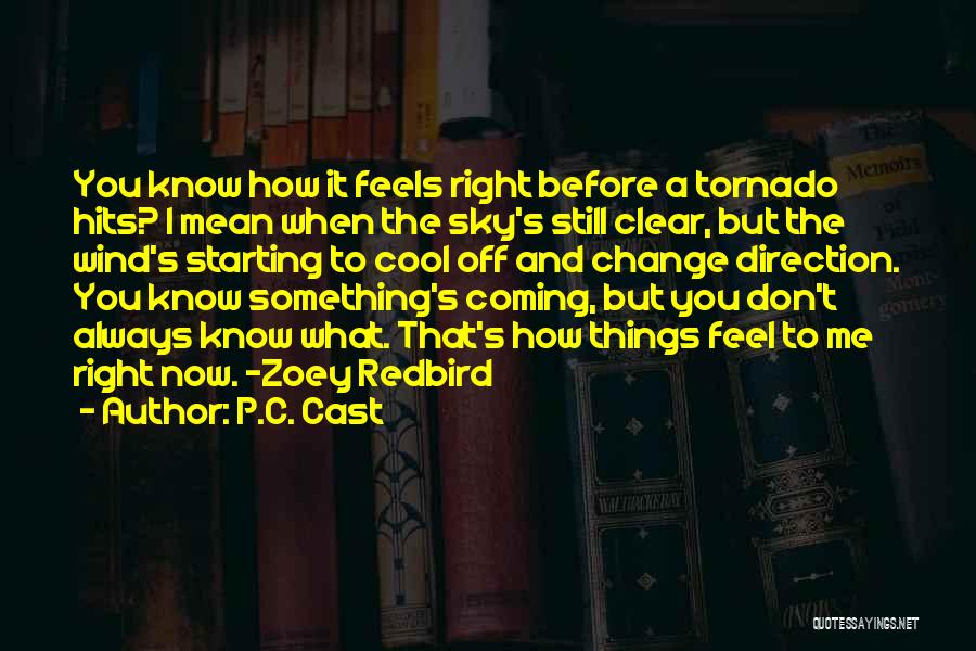 P.C. Cast Quotes: You Know How It Feels Right Before A Tornado Hits? I Mean When The Sky's Still Clear, But The Wind's