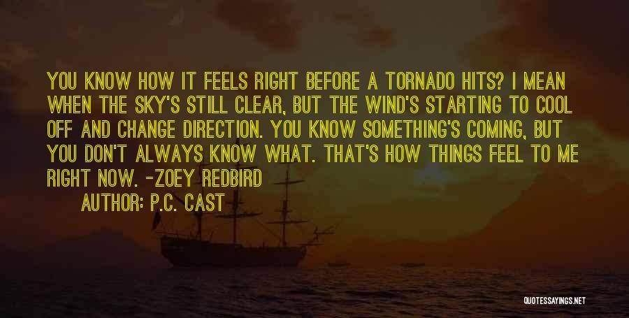 P.C. Cast Quotes: You Know How It Feels Right Before A Tornado Hits? I Mean When The Sky's Still Clear, But The Wind's