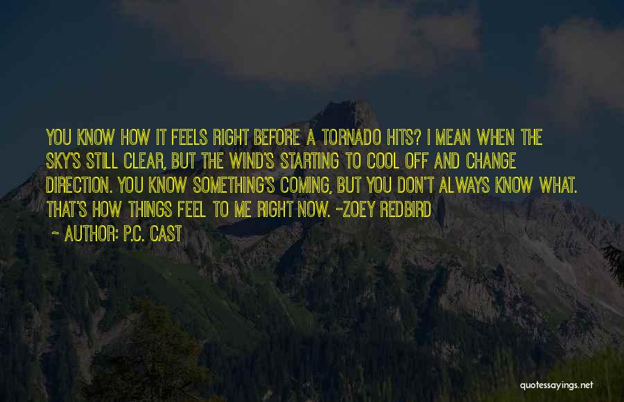 P.C. Cast Quotes: You Know How It Feels Right Before A Tornado Hits? I Mean When The Sky's Still Clear, But The Wind's