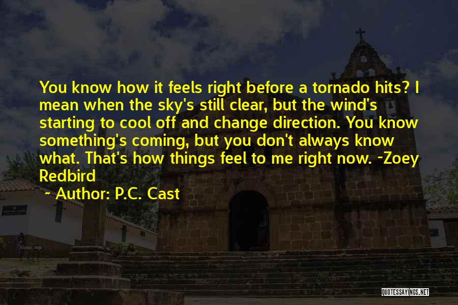 P.C. Cast Quotes: You Know How It Feels Right Before A Tornado Hits? I Mean When The Sky's Still Clear, But The Wind's