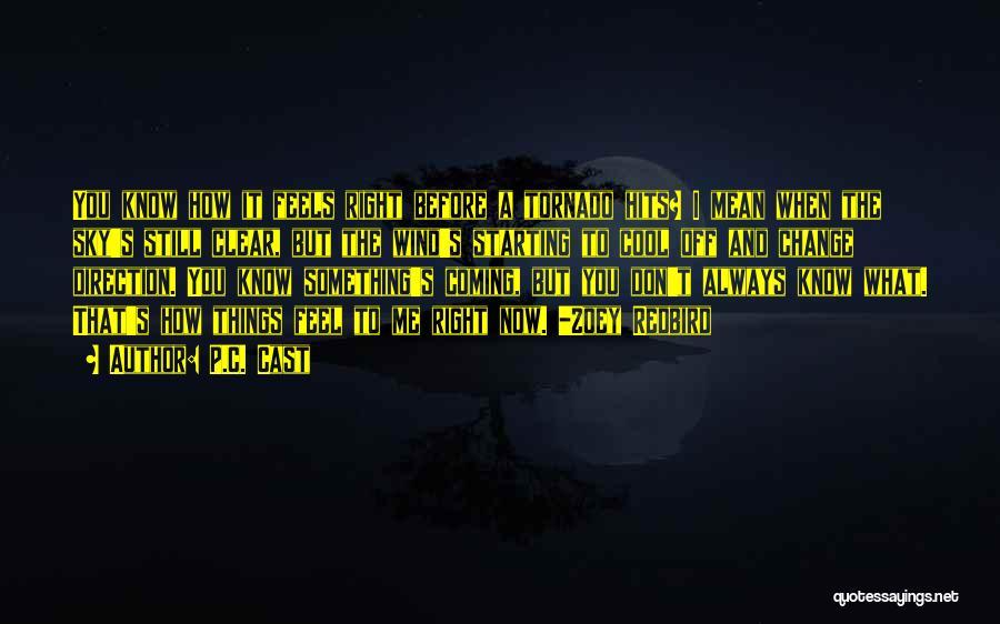 P.C. Cast Quotes: You Know How It Feels Right Before A Tornado Hits? I Mean When The Sky's Still Clear, But The Wind's