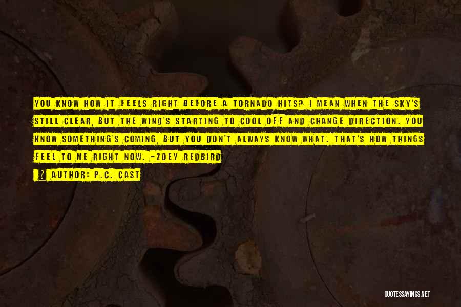 P.C. Cast Quotes: You Know How It Feels Right Before A Tornado Hits? I Mean When The Sky's Still Clear, But The Wind's