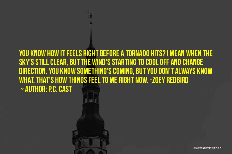 P.C. Cast Quotes: You Know How It Feels Right Before A Tornado Hits? I Mean When The Sky's Still Clear, But The Wind's