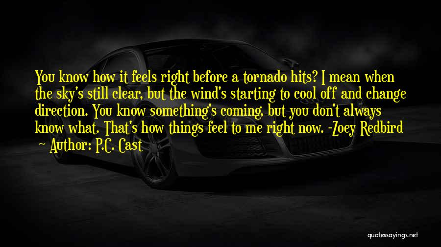 P.C. Cast Quotes: You Know How It Feels Right Before A Tornado Hits? I Mean When The Sky's Still Clear, But The Wind's