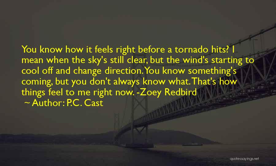 P.C. Cast Quotes: You Know How It Feels Right Before A Tornado Hits? I Mean When The Sky's Still Clear, But The Wind's