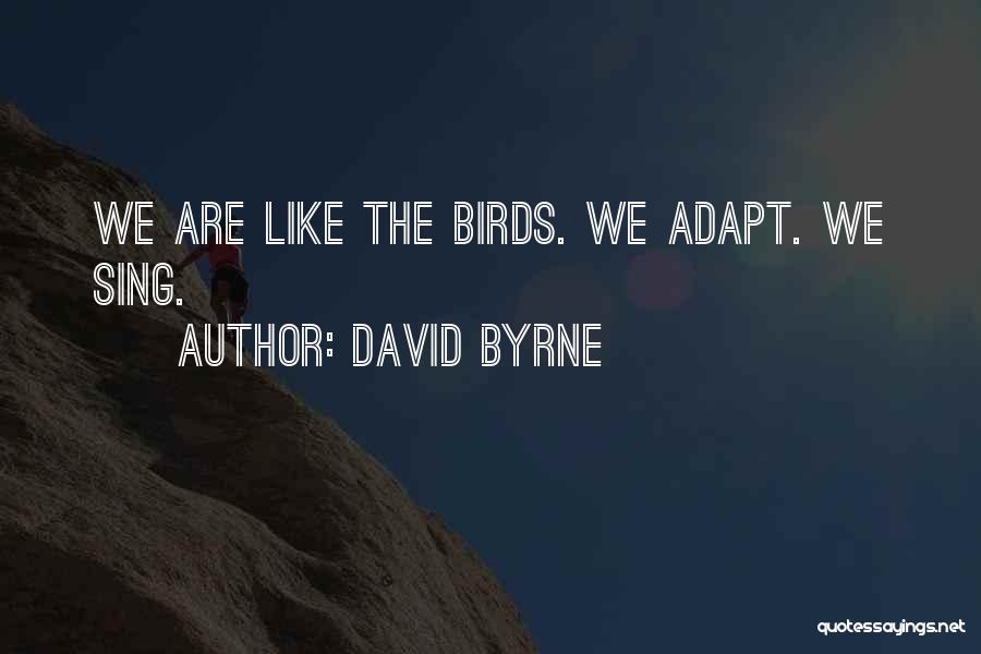 David Byrne Quotes: We Are Like The Birds. We Adapt. We Sing.