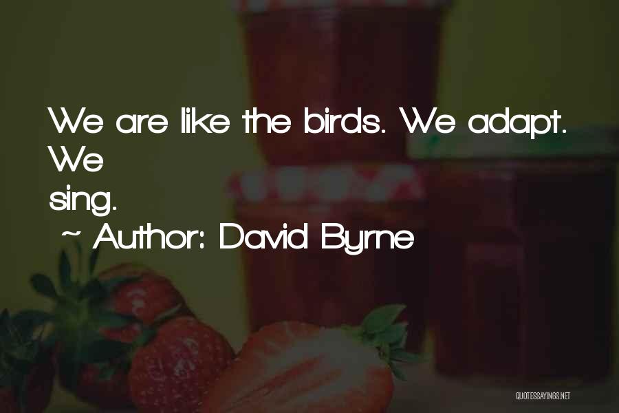 David Byrne Quotes: We Are Like The Birds. We Adapt. We Sing.