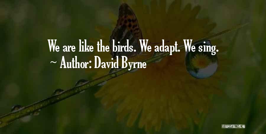 David Byrne Quotes: We Are Like The Birds. We Adapt. We Sing.