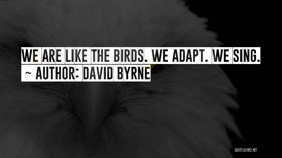 David Byrne Quotes: We Are Like The Birds. We Adapt. We Sing.