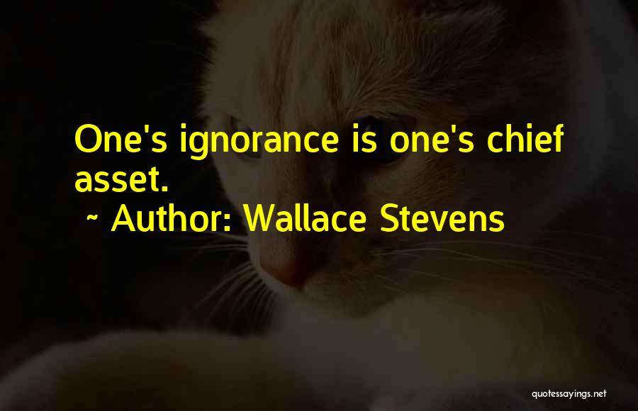 Wallace Stevens Quotes: One's Ignorance Is One's Chief Asset.