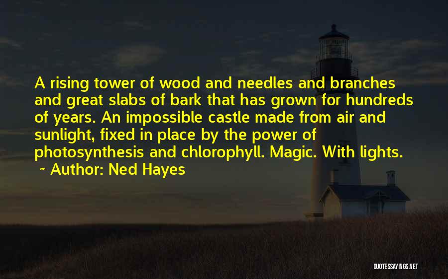 Ned Hayes Quotes: A Rising Tower Of Wood And Needles And Branches And Great Slabs Of Bark That Has Grown For Hundreds Of