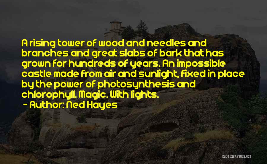 Ned Hayes Quotes: A Rising Tower Of Wood And Needles And Branches And Great Slabs Of Bark That Has Grown For Hundreds Of