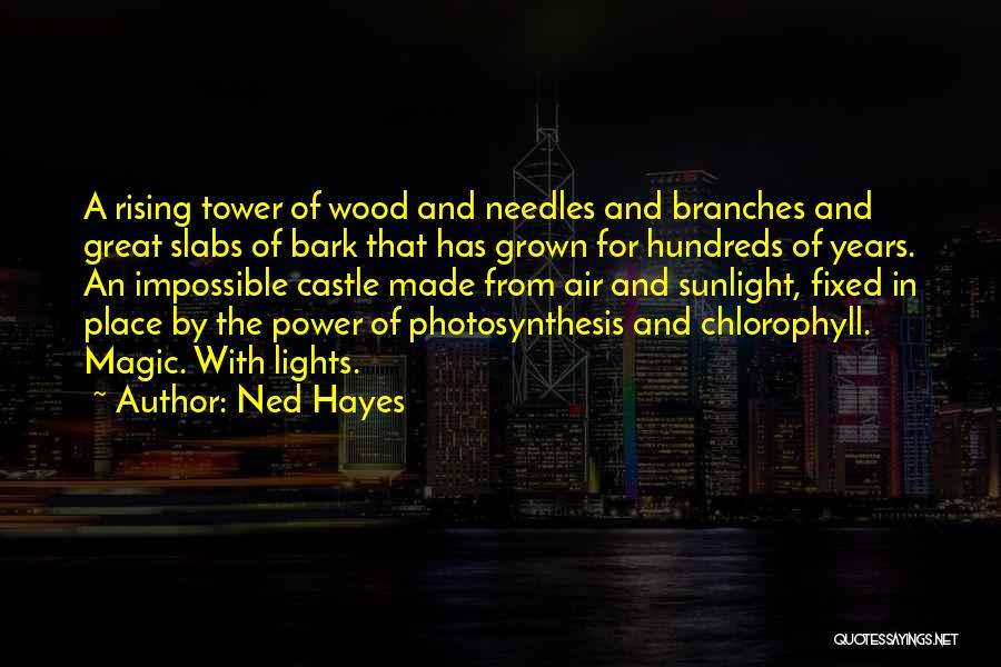 Ned Hayes Quotes: A Rising Tower Of Wood And Needles And Branches And Great Slabs Of Bark That Has Grown For Hundreds Of