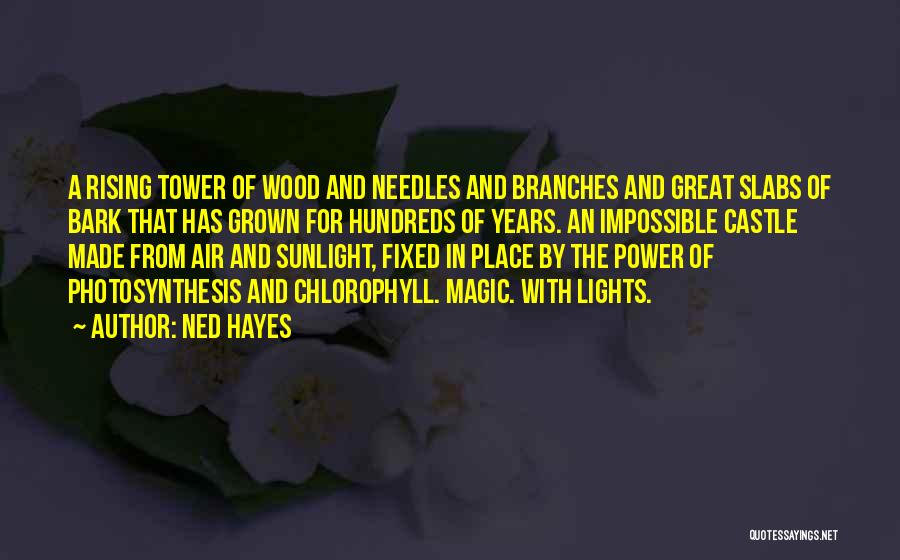 Ned Hayes Quotes: A Rising Tower Of Wood And Needles And Branches And Great Slabs Of Bark That Has Grown For Hundreds Of