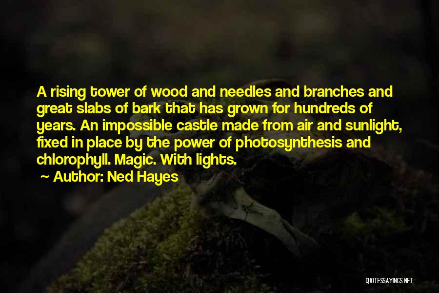 Ned Hayes Quotes: A Rising Tower Of Wood And Needles And Branches And Great Slabs Of Bark That Has Grown For Hundreds Of