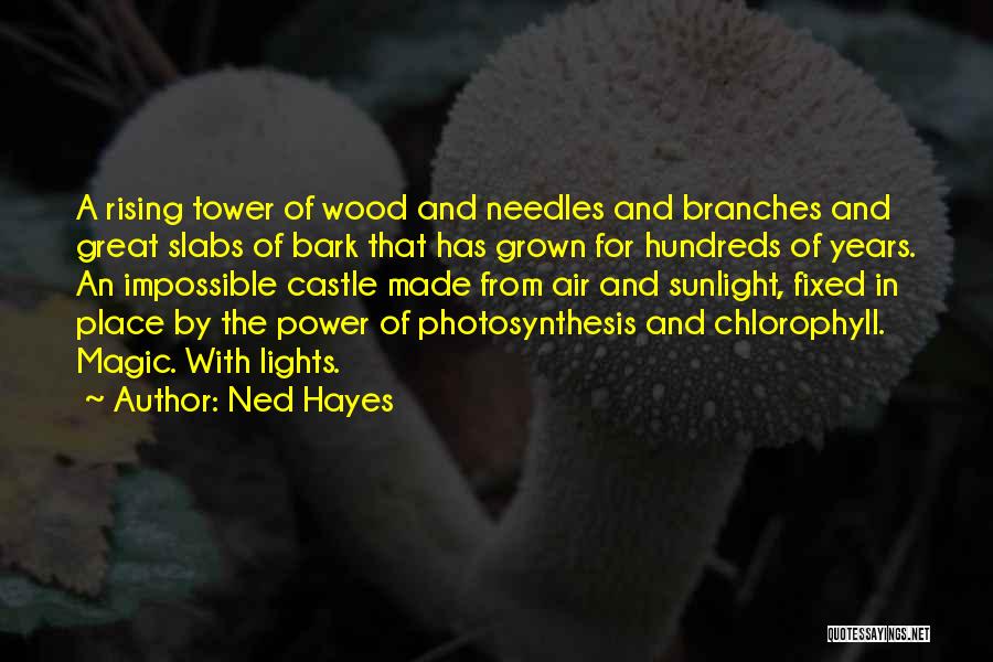 Ned Hayes Quotes: A Rising Tower Of Wood And Needles And Branches And Great Slabs Of Bark That Has Grown For Hundreds Of