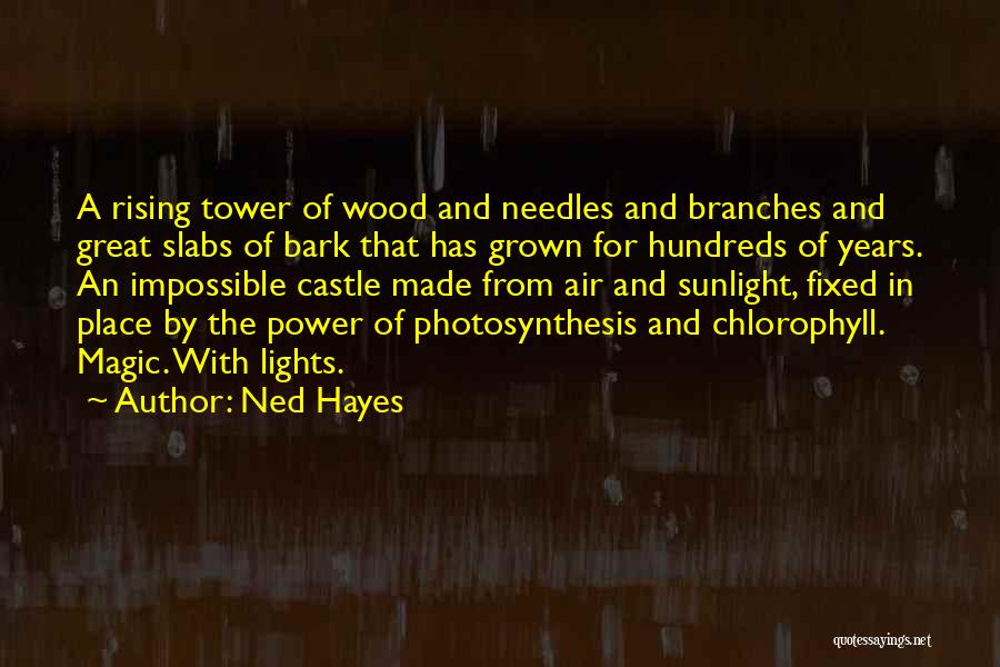 Ned Hayes Quotes: A Rising Tower Of Wood And Needles And Branches And Great Slabs Of Bark That Has Grown For Hundreds Of