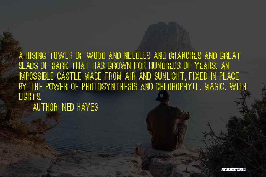 Ned Hayes Quotes: A Rising Tower Of Wood And Needles And Branches And Great Slabs Of Bark That Has Grown For Hundreds Of