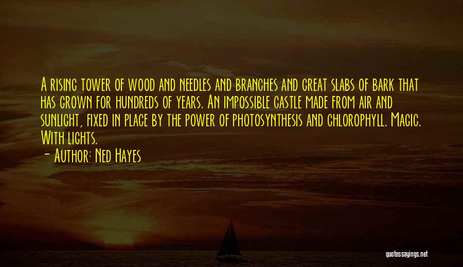 Ned Hayes Quotes: A Rising Tower Of Wood And Needles And Branches And Great Slabs Of Bark That Has Grown For Hundreds Of