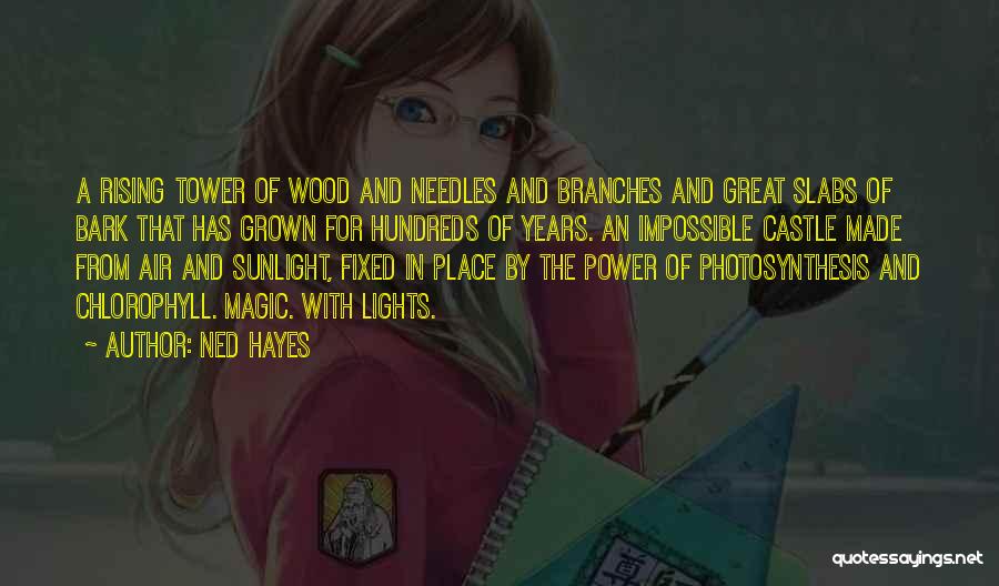 Ned Hayes Quotes: A Rising Tower Of Wood And Needles And Branches And Great Slabs Of Bark That Has Grown For Hundreds Of