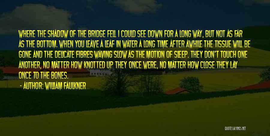 William Faulkner Quotes: Where The Shadow Of The Bridge Fell I Could See Down For A Long Way, But Not As Far As