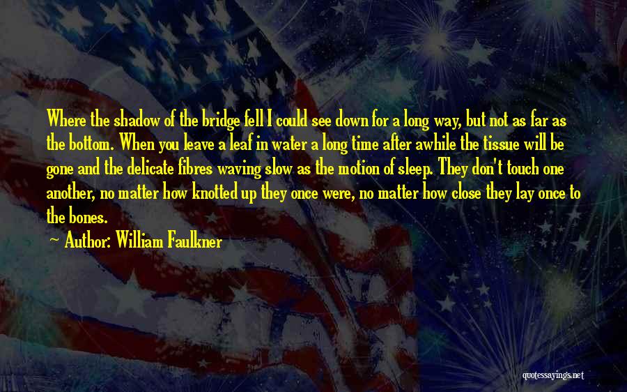 William Faulkner Quotes: Where The Shadow Of The Bridge Fell I Could See Down For A Long Way, But Not As Far As