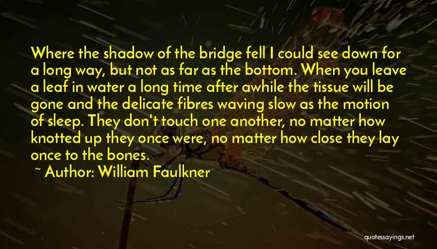 William Faulkner Quotes: Where The Shadow Of The Bridge Fell I Could See Down For A Long Way, But Not As Far As