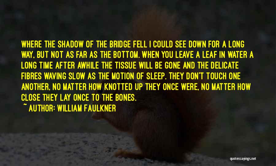 William Faulkner Quotes: Where The Shadow Of The Bridge Fell I Could See Down For A Long Way, But Not As Far As