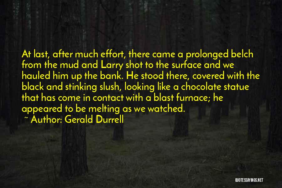 Gerald Durrell Quotes: At Last, After Much Effort, There Came A Prolonged Belch From The Mud And Larry Shot To The Surface And