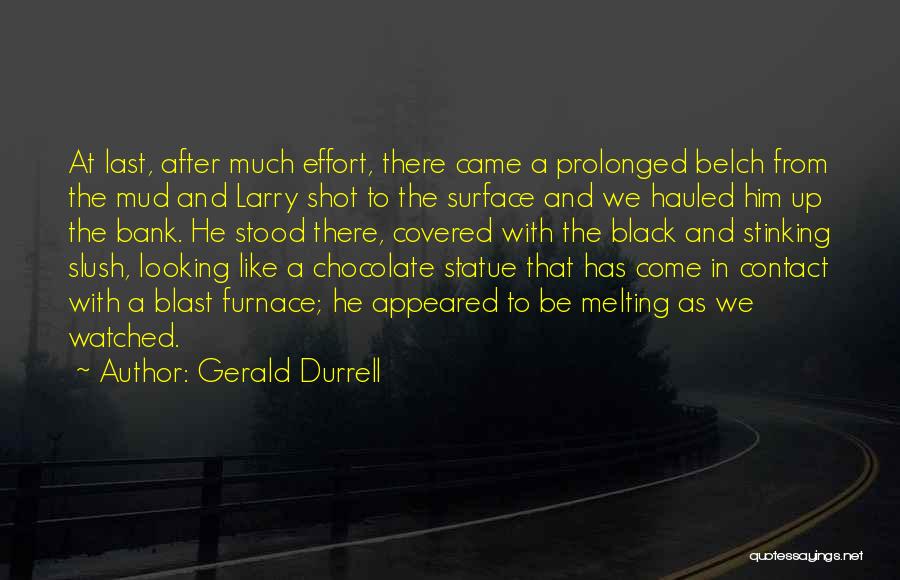 Gerald Durrell Quotes: At Last, After Much Effort, There Came A Prolonged Belch From The Mud And Larry Shot To The Surface And