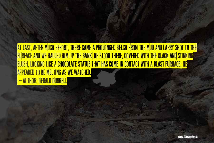 Gerald Durrell Quotes: At Last, After Much Effort, There Came A Prolonged Belch From The Mud And Larry Shot To The Surface And