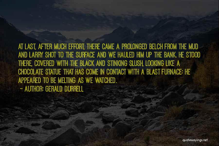 Gerald Durrell Quotes: At Last, After Much Effort, There Came A Prolonged Belch From The Mud And Larry Shot To The Surface And