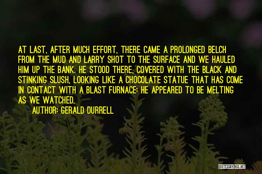 Gerald Durrell Quotes: At Last, After Much Effort, There Came A Prolonged Belch From The Mud And Larry Shot To The Surface And