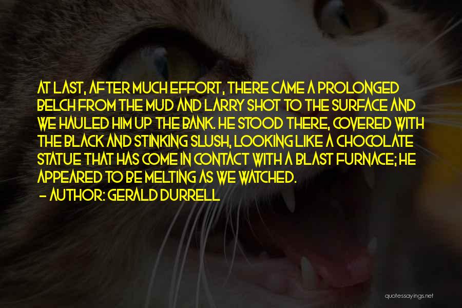 Gerald Durrell Quotes: At Last, After Much Effort, There Came A Prolonged Belch From The Mud And Larry Shot To The Surface And