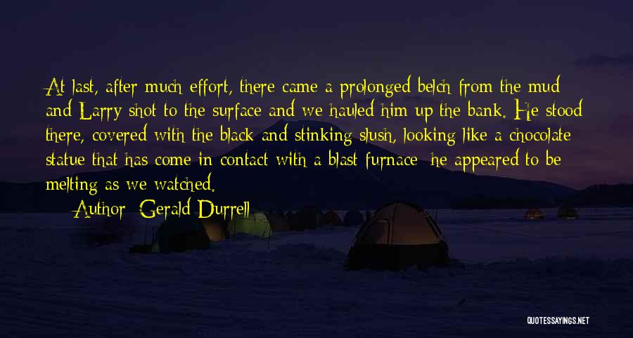 Gerald Durrell Quotes: At Last, After Much Effort, There Came A Prolonged Belch From The Mud And Larry Shot To The Surface And