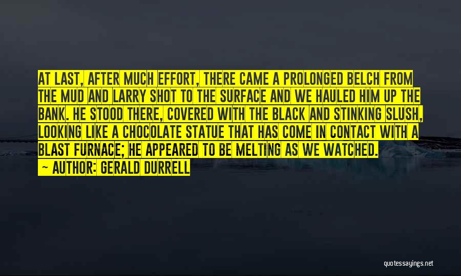 Gerald Durrell Quotes: At Last, After Much Effort, There Came A Prolonged Belch From The Mud And Larry Shot To The Surface And