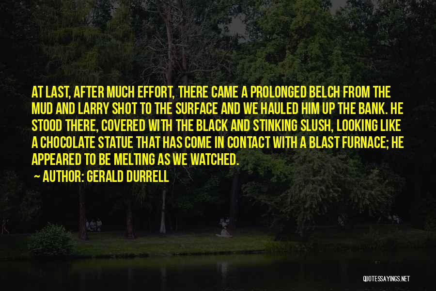 Gerald Durrell Quotes: At Last, After Much Effort, There Came A Prolonged Belch From The Mud And Larry Shot To The Surface And